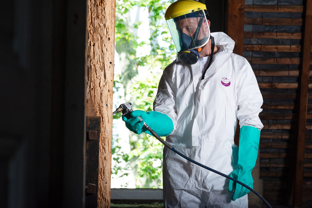 Professionnel appliquant de l'insecticide sur une charpente