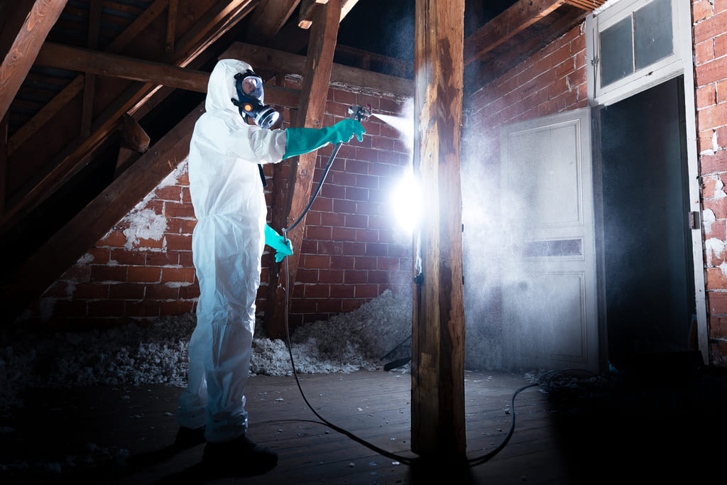 Technicien aspergeant de l'insecticide sur une charpente