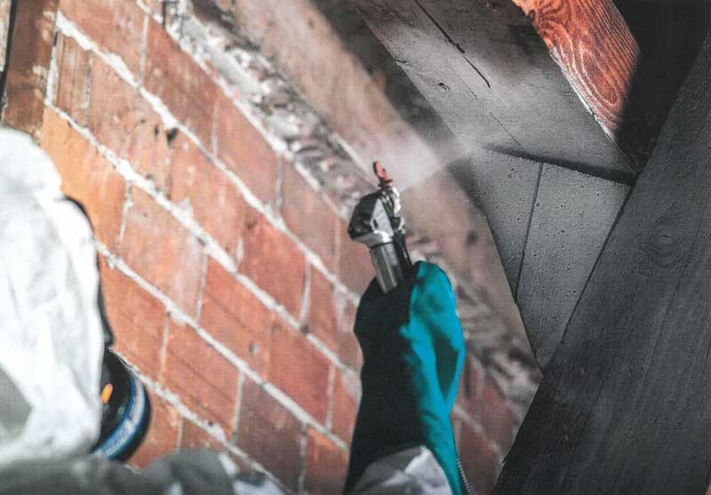 Professionnel appliquant du produit biocide